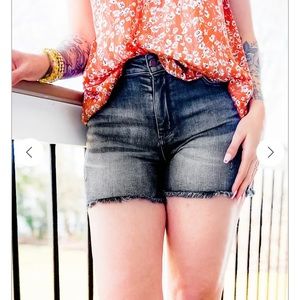 NWT Judy Blue dark wash black denim plus size shorts